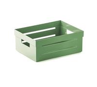 Snips Cassetta Multiuso, Organizer Multiuso, Contenitore Multiuso 2 LT, Colore Verde, 20 x 15 x 8,5 cm, Made in Italy