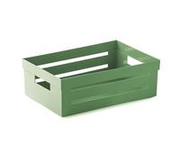 Snips Cassetta Multiuso, Organizer Multiuso, Contenitore Multiuso, 5 LT, Colore Verde, 29,5 x 19,5 x 10 cm, Made in Italy