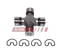 FAST FT28068 Giunto albero trasmissione per IVECO DAILY III Kasten/Kombi ZETA