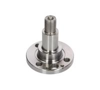 Snodo di sterzo, sospensione ruota BTA H5S003BTA