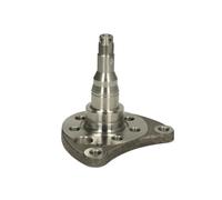 Snodo di sterzo, sospensione ruota BTA H5W008BTA