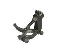 Snodo di sterzo, sospensione ruota REINHOCH RH08-0031, sinistro