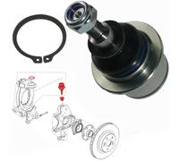 Testa Superiore Del Pivot Per Mozzo Clio E Megane 3 RS 2.0 = 7711160423