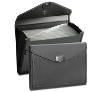 Snopake Zeon 15894 - Organizer espandibile in 13 parti, formato A4, colore: carb