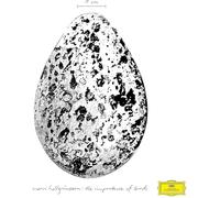 Snorri Hallgrmsson - The Importance of Birds