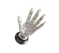 Snorvixre Elegante Scultura Mistica di Palme Con Linee E Simboli Dettagliate Chiromanzia A Mano Statua In Resina Per Librerie Decorazioni Librerie Statua Chiromanzia Con Simbolismo