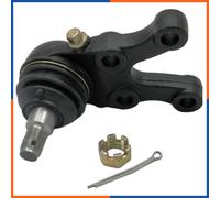 NTY Giunto di supporto / guida compatibile con ZSD-MS-009