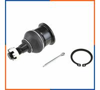 NTY ZSD-NS-028 Testina braccio oscillante per NISSAN X-TRAIL (T30) inferiore