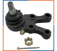 NTY Giunto di supporto / guida compatibile con ZSD-MS-010