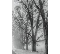 Snow Along the Path - Journal