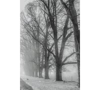 Snow Along the Path - Journal