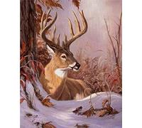 Snow Elk Animals - 60x60cm Diamante Rotondo 5D Diamante Fai-da-Te Ricamato Punto Croce 5D Regalo Decorazioni per la casa