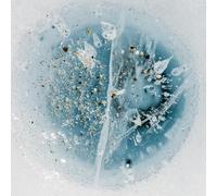 Manu Delago feat. Mad About Lemon Snow from Yesterday (CD) Album