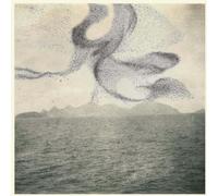 Snow Ghosts - A Small Murmuration