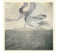 Snow Ghosts A Small Murmuration (CD) Album