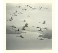 Snow Ghosts And the World Was Gone (Vinyl LP)