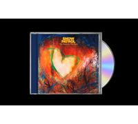 Snow Patrol The Forest Is the Path (CD) Album (Jewel Case) (PRESALE 13/09/2024)