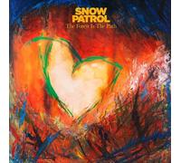 Snow Patrol The Forest Is Path 1LP Blue Marmorizzato Vinyl Gatefold 2024 Polydor