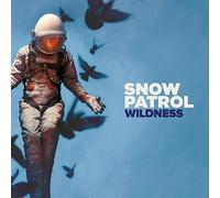 Snow Patrol Wildness (Vinyl LP) 12" Album