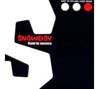 Snowboy & the Latin Section - Beyond the Snowstorm