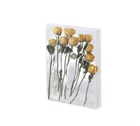 Snowchecking Cornice creativa in acrilico fai da te, design cavo, vetrina con fiori secchi, conchiglie, decorazione per la casa, 26 x 31 cm (trasparente)