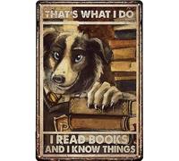 Snowsun Targa in metallo con scritta in lingua inglese "That S What I Do I Read Book and I Know Things", targa vintage in alluminio per cucina, casa, ufficio, bar, caffetteria, decorazione, 20,3 x