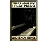 Snowsun Targa in metallo con scritta in lingua inglese "That's What I Do i Paly Piano and I know things cat Funny Retro Vintage alluminio Sign for Home Garden Coffee Wall Decor Metal Tin Sign 20,3 x