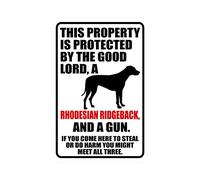 snowsun Targa in metallo con scritta in lingua inglese "Warning This Property Is Protected By The Good Lord A Rhodesian Ridgeback Dog And a Gun", cartello retrò vintage in alluminio per cucina, bar
