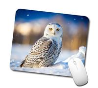 Snowy Owl Raptor Bird of Prey Tappetino Scrivania Antiscivolo Mousepad Morbido Mouse Pad for Gaming Accessori Scrivania Lavoro 25X30Cm