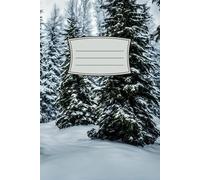 Snowy Spruce Forest Budget Planner | Personal Finance | Notebooks for budgeting | Includes a 3 year monthly budget planner with space for writing ... tracker, side hustle ideas, and more!
