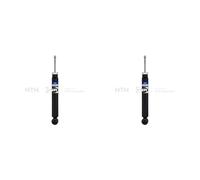 SNR 2x Ammortizzatore Sinistra Destra Posteriore per Audi A4 8E2 B6 2.0 1.6 8E5