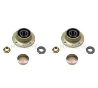 SNR 2x Cuscinetto Ruota Mozzo Posteriore per Fiat Barchetta Punto Lancia Y 146