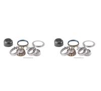 SNR 2X Mozzo Ruota Kit Cuscinetti Posteriore Per Renault 4 5 112 122 134 121