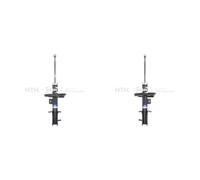 SNR Ammortizzatori Set Sinistro Destro Anteriore Per Peugeot Expert Kasten VF3A