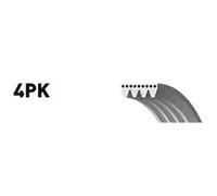 SNR CA4PK860 Cinghia servizi