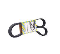 SNR CA6PK1435 Cinghia servizi