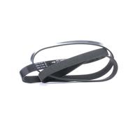 SNR Cinghia Poly-V CA6PK1715 VW,OPEL,JEEP,Transporter IV Van (70A, 70H, 7DA, 7DH),Transporter IV Bus (70B, 70C, 7DB, 7DK, 70J, 70K, 7DC, 7DJ)