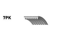SNR CA7PK1640 Cinghia servizi