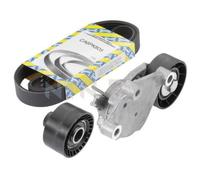 SNR Cinghia A Vite Per Ford Focus C-Max Fiesta V JH_ JD_ JU_ Peugeot 307