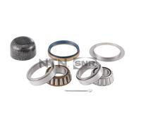 SNR Cuscinetti Ruota Set Posteriore Per Renault 6 118