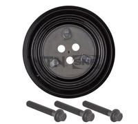 SNR DPF352.10K1 Puleggia cinghia, Albero a gomiti per FORD