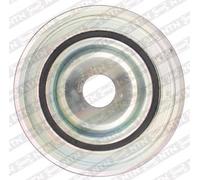 Puleggia albero motore DPF359.17K1 SNR per CITROËN PEUGEOT FORD FIAT VOLVO DS