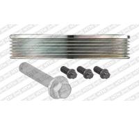 SNR DPF359.33K1 Puleggia cinghia albero a gomiti