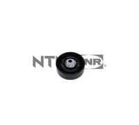 SNR GA350.20 Puleggia Tendicinghia, Cinghia Scanalata per BMW, BMW (Brilliance)