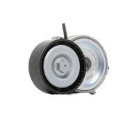 NTN-SNR Rullo tenditore cinghia GA352.73 trapezoidale per Peugeot, Citroën, Ford, Volvo