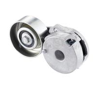 SNR GA355.25 Rullo tenditore cinghia Poly-V