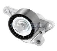 SNR GA355.31 - Rullo tenditore Cinghia Poly-V