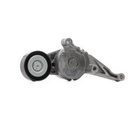 SNR GA357.23 Rullo tenditore cinghia Poly-V