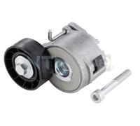 SNR GA358.07 Puleggia Tendicinghia, Cinghia Scanalata per Fiat, Opel, Saab, Opel
