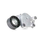 SNR GA359.19 Rullo tenditore cinghia Poly-V per FORD FOCUS III per CITROËN DS3